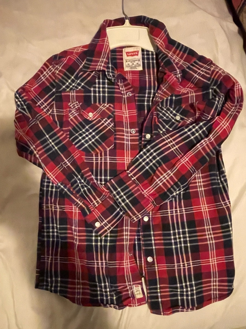 Levi's Kids Navy & Red Plaid Button-Front Shirt